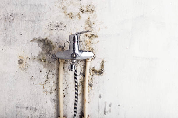 Professional Mold Remediation in Grafton, WI